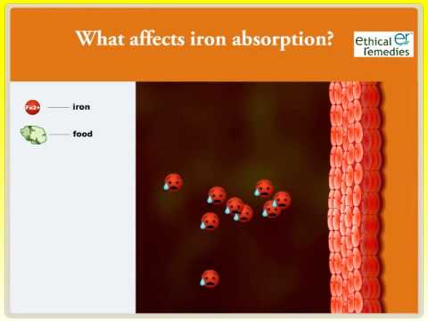 What food reduce or increase iron absorption? What are interactions with iron?