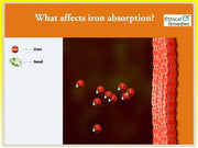 What food affect iron absorption?